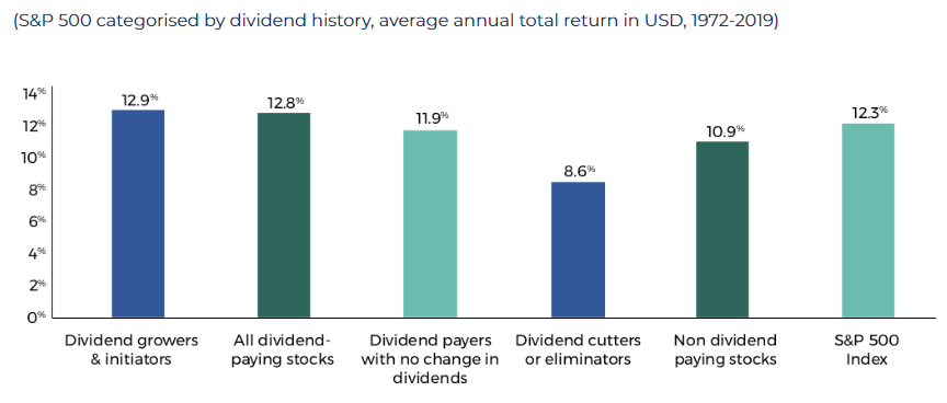 S&P 500 Categorised by dividend history