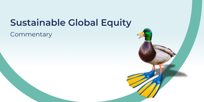 Sustainable Global Equity Commentary