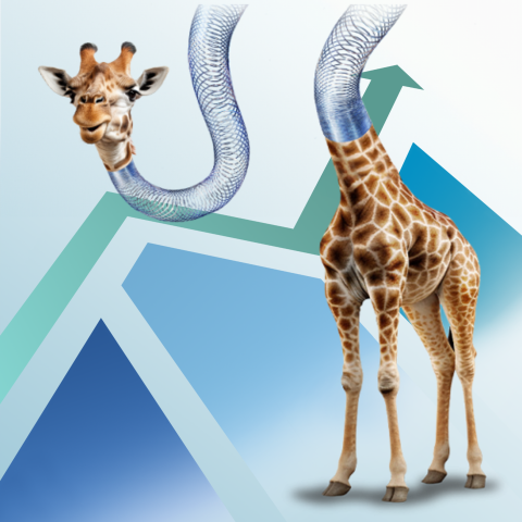 Guinness Quality Equity Income Funds - Giraffe